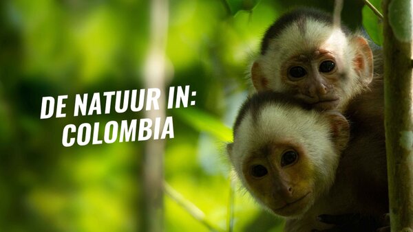 De natuur in: Colombia