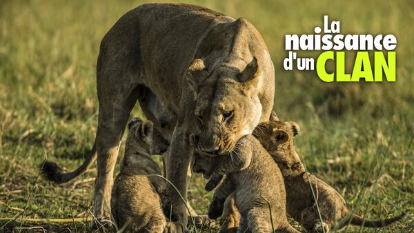 La naissance d'un clan