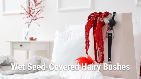 Wet Seed-Covered Hairy Bushes