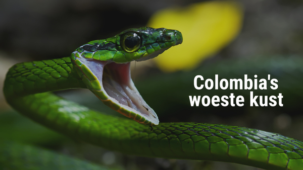 Colombia's woeste kust