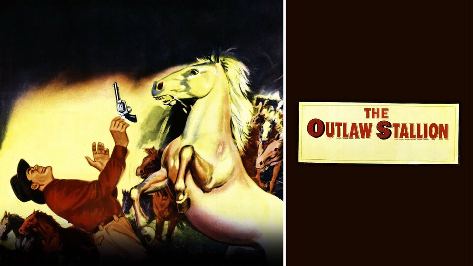The Outlaw Stallion