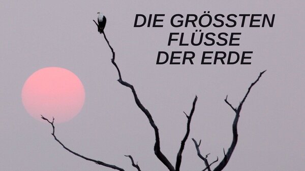 Die größten Flüsse der Erde