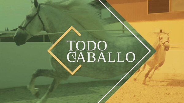 Todo caballo