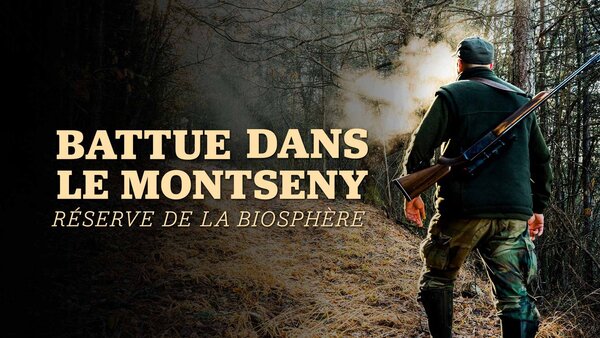 Battue dans le montseny réserve de la biosphère