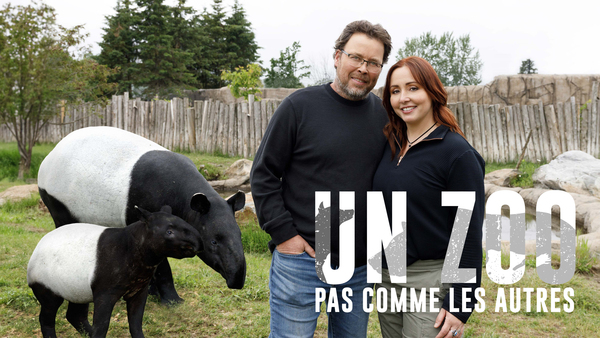 Un zoo pas comme les autres