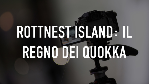 Rottnest island: Il regno dei Quokka