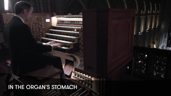 In the Organ's Stomach