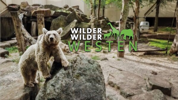 Wilder wilder Westen