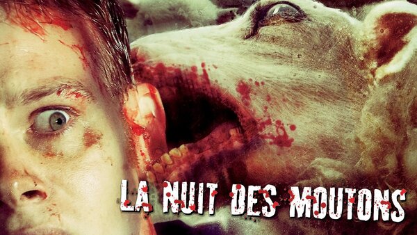 La nuit des moutons