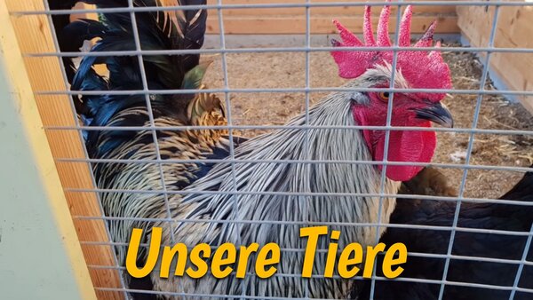 Unsere Tiere