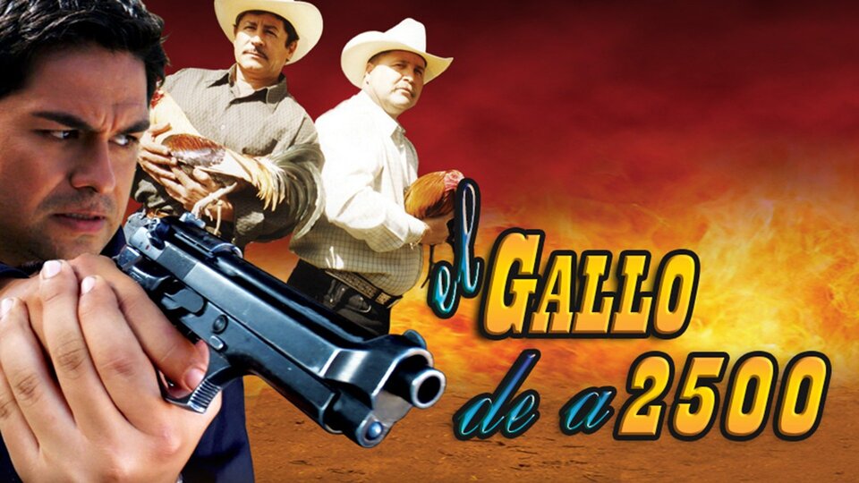 El gallo de 2500