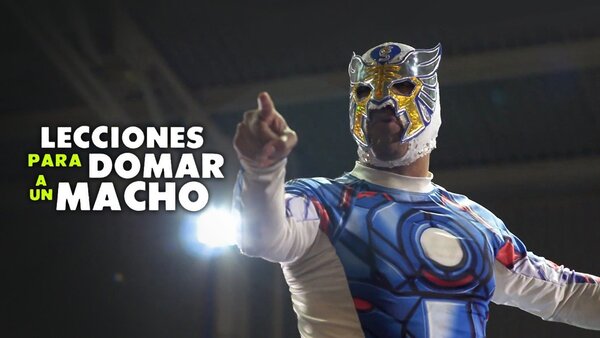 Lecciones para domar a un macho