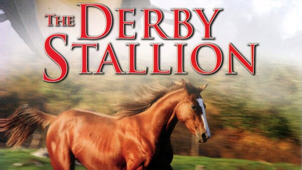 The Derby Stallion