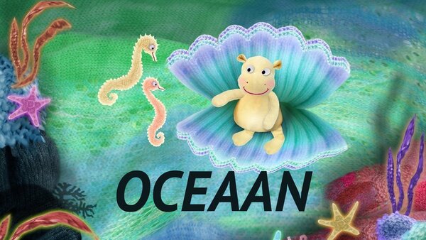 Oceaan