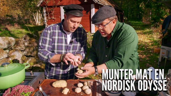 Munter mat: En nordisk odyssé