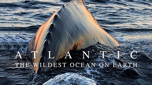 Atlantic: The Wildest Ocean on Earth