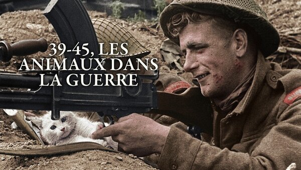 39-45, les animaux dans la guerre