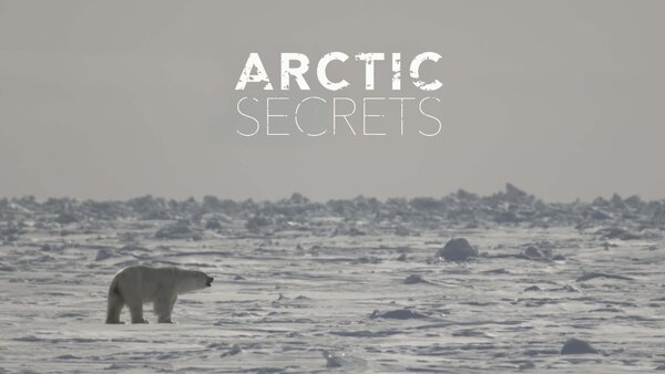 Arctic Secrets