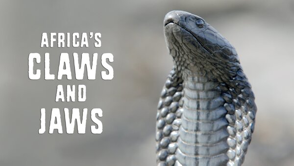 Africa's Claws & Jaws