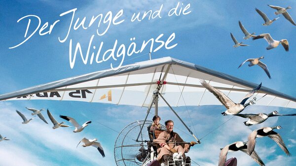 Der Junge und die Wildgänse