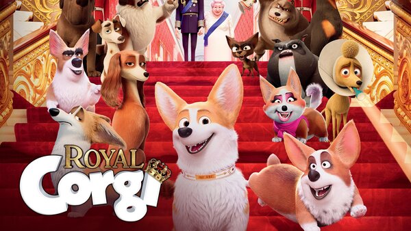 Royal Corgi