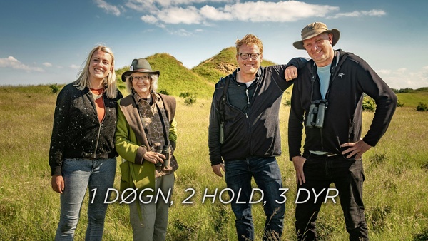 1 døgn, 2 hold, 3 dyr