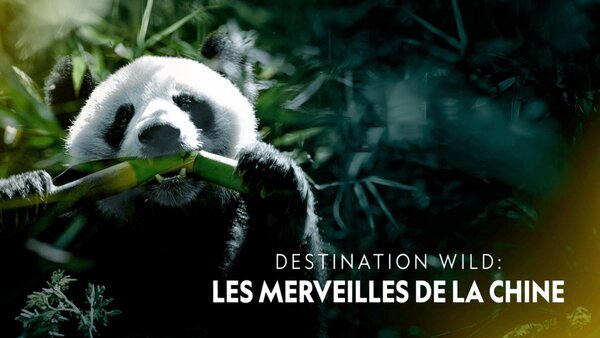 Destination Wild : Les merveilles de la Chine