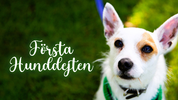 Första hunddejten