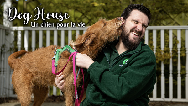 Dog house : un chien pour la vie