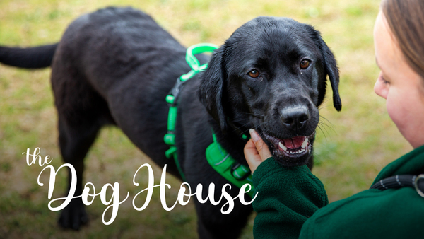 The Dog House