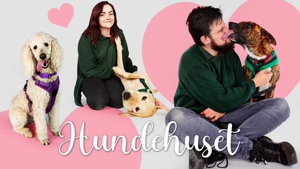 Hundehuset