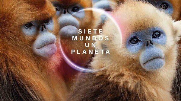 Siete mundos, un planeta