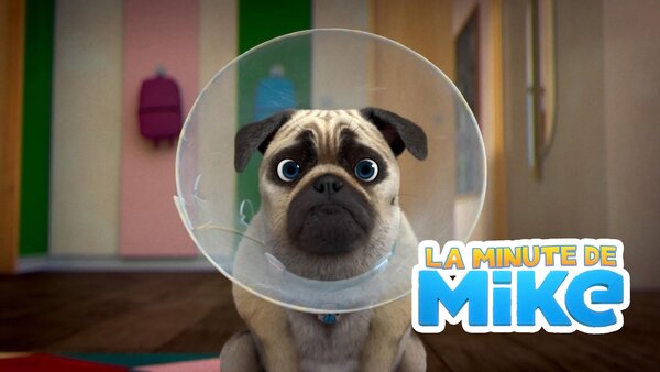 La minute de Mike!