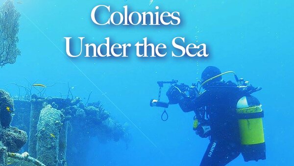 Colonies Under the Sea