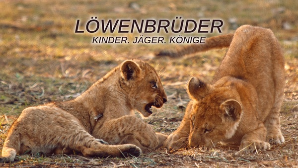 Löwenbrüder: Kinder. Jäger. Könige