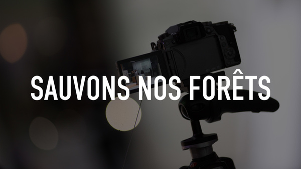 Sauvons nos forêts