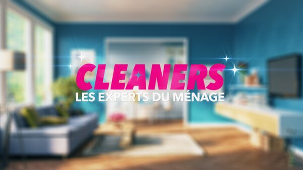 Cleaners les experts du ménage