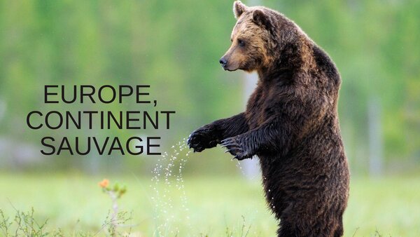 Europe, continent sauvage