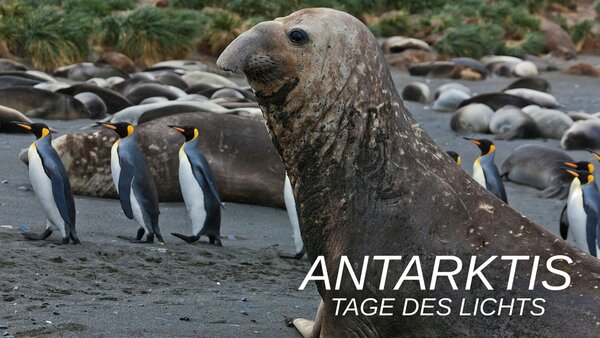 Antarktis - Tage des Lichts