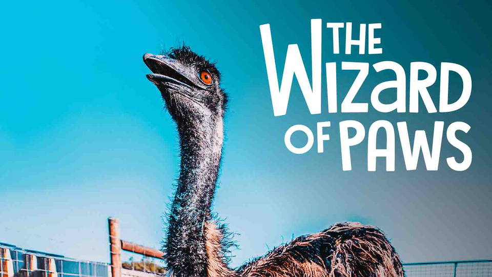 The Wizard of Paws