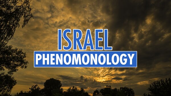 Israel Phenomonology
