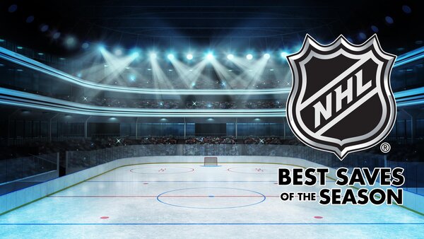 NHL's Best Saves of the Season
