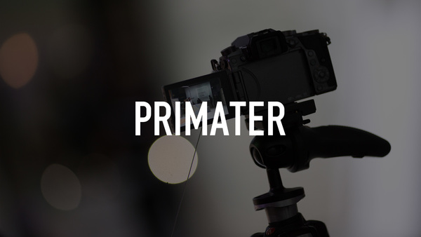 Primater
