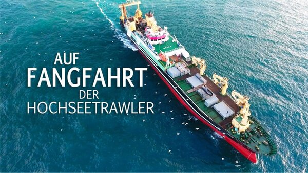 Auf Fangfahrt - Der Hochseetrawler