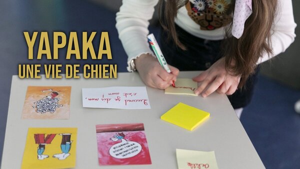 Yapaka : une vie de chien