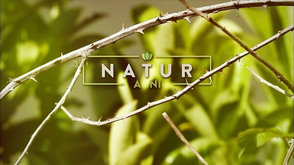 Natur a Ni