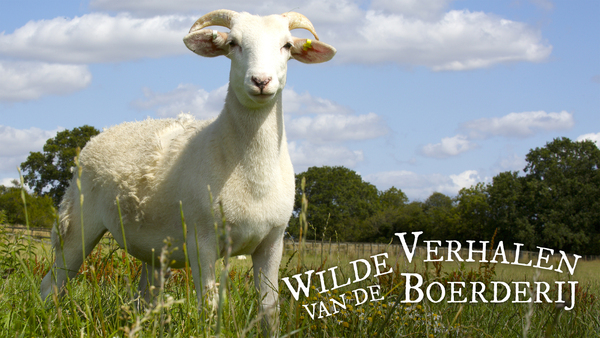 Wilde verhalen van de boerderij