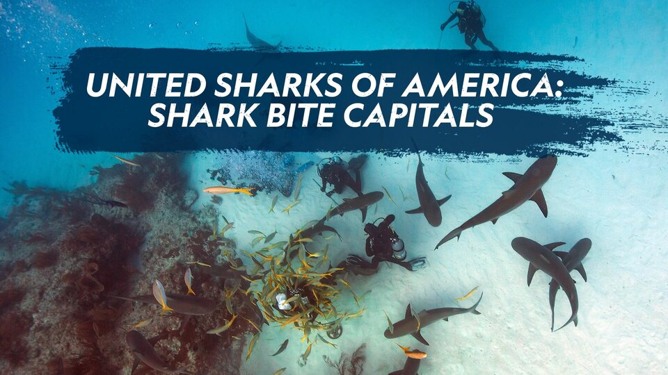 United Sharks of America: Shark Bite Capitals