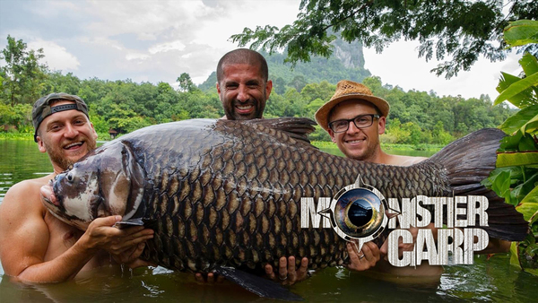 Monster Carp