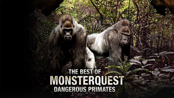 The Best of MonsterQuest - Dangerous Primates
